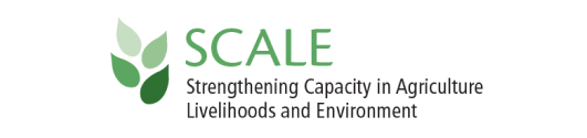 scale (1)